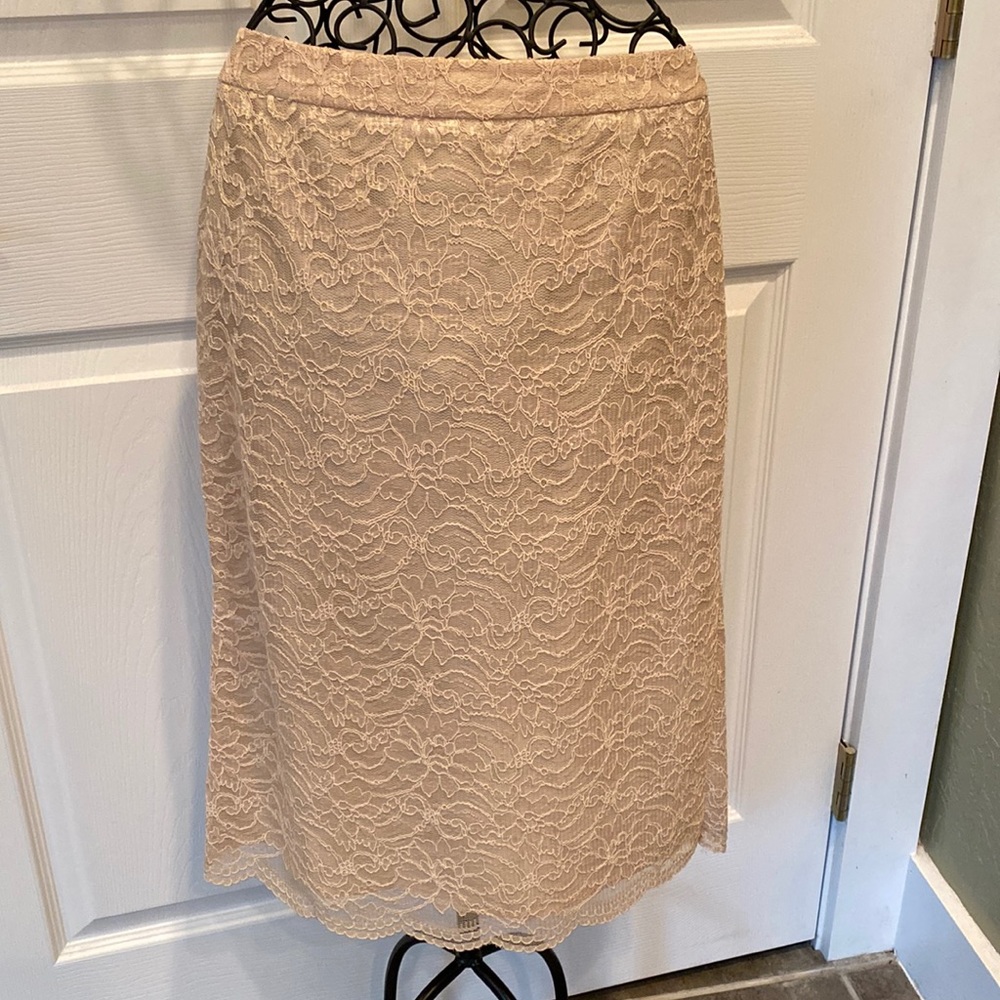 Banana Republic Size 2 Lace Skirt